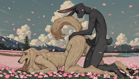 all_fours anthro anthro_on_anthro ass_up balls black_body black_fur black_penis bodily_fluids breasts butt claws cloud detailed_background digitigrade duo erection falling_petals fangs feet female flower flower_field foreskin fur genital_fluids genitals golden_eyes grass green_eyes grinding_against_penis hair hand_on_penis humanoid_genitalia humanoid_penis imminent_sex interspecies lake larger_female long_ears long_fur male male/female mountain mountains multicolored_eyes nude open_mouth outside pawpads paws penis petals plant pussy raised_tail red_eyes sex size_difference skut_tail sky smaller_male tail tan_body tan_fur teeth tongue tongue_out touching_penis tree vaginal_fluids soloko afghan_hound canid canine canis domestic_dog hunting_dog lagomorph leporid mammal rabbit sighthound absurd_res hi_res