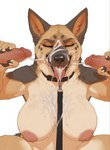 areola big_breasts bodily_fluids breasts brown_body brown_fur bukkake claws collar collar_only crouching cum cum_in_mouth cum_inside cum_on_breasts cum_on_face cum_on_tongue cum_splatter cumshot disembodied_penis double_handjob ejaculation erection excessive_cum excessive_genital_fluids eyes_closed female female_focus fingers foreskin fur genital_fluids genitals group group_sex handjob huge_breasts humanoid_genitalia humanoid_penis leash leash_towards_viewer male male/female messy multicolored_body multicolored_fur nipples nude nude_female open_mouth oral_invitation orgasm penile penis retracted_foreskin sex simple_background solo_focus submissive submissive_female tan_body tan_fur teeth threesome tongue tongue_out trio vein veiny_penis white_background otteranon canid canine canis domestic_dog german_shepherd herding_dog mammal pastoral_dog hi_res