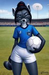 anthro black_hair blue_clothing blue_shirt blue_topwear clothing female football_field football_player fur green_eyes grey_body grey_fur hair markings shirt solo sportswear striped_markings striped_tail stripes tail_markings topwear stephanie_raccoon stephanie_raccoon_(character) mammal procyonid raccoon