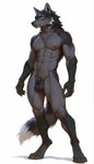 animal_genitalia anthro balls black_body black_fur black_nose cheek_tuft chest_tuft claw_nails digitigrade facial_tuft fluffy fluffy_tail fur genitals grey_body grey_fur inner_ear_fluff looking_at_viewer male muscular muscular_male neck_tuft nudity pubes sheath simple_background solo tuft violet_eyes white_body white_fur ilmpbx kael_(ilmpbx) canid canine canis mammal wolf absurd_res hi_res