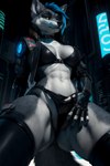 abs anthro armwear athletic athletic_anthro athletic_female barely_visible_genitalia barely_visible_pussy bedroom_eyes bikini blue_hair bra butt_from_the_front canid canine canis choker city city_background clothing clothing_aside cropped_jacket cyberpunk elbow_gloves female fingerless_elbow_gloves fingerless_gloves fur furtasticv20_(model) genitals gloves green_eyes grey_body grey_fur hair handwear hi_res jacket jewelry legwear looking_at_viewer low-angle_view mammal narrowed_eyes necklace panties panties_aside presenting presenting_pussy pussy rodinsinker ruby_(rodinsinker) seductive solo spread_legs spreading swimwear thigh_highs topwear underwear underwear_aside wolf