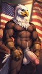 abs absurd_res accipitrid accipitriform anthro avian bald_eagle balls beak big_balls big_penis bird clothing eagle genitals gloves handwear hi_res male muscular muscular_anthro muscular_male pecs penis pinasheep69 sea_eagle solo stars_and_stripes united_states_of_america vein