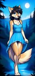 anthro breasts clothing dress female fur hair panties smile solo underwear vargrklaw evelyn_(vargrklaw) canid canine canis mammal wolf hi_res