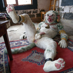 animal_genitalia anthro anus balls bared_teeth basket bell bell_collar black_leather bracelet bracelets butt chair china chinese claws clenched_teeth clothes_hanger cold collar container detailed_background ear_piercing ear_ring ethnic exposed fangs fur furniture genitals gold_(metal) gold_jewelry green_body green_eyes green_fur green_hair green_mane hair handpaw human_ears humanoid_genitalia humanoid_penis inside jewelry jewelry_only laying_down leather leather_straps lips lying male mane mostly_nude mythological_feline mythology on_back pawpads paws penis photorealism piercing pink_lips pink_nose pink_penis plaster raised_leg realistic realistic_lighting red_carpet ring_piercing rug sheath snowlion solo spread_anus spread_butt spread_legs spreading stone_building stone_floor stone_wall table tail teeth teeth_showing temple tibet tibetan_mythology tongue wall_(structure) whiskers white_balls white_body white_fur window window_light wood_furniture sloppycat human mammal mythological_creature hi_res photography_(artwork)