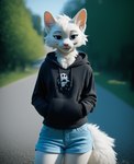anthro black_clothing black_eyes black_hoodie black_topwear bottomwear boy_kisser_(meme) cartuniverse clothing felid feline fluffy fluffy_tail front_view fur hand_in_pocket hi_res hoodie looking_at_viewer male mammal outside park pockets shorts smile solo standing topwear white_body white_fur