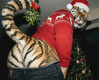 anthro black_lips bottomwear bottomwear_down bow_ribbon butt christmas_clothing christmas_headwear christmas_tree clothed clothing detailed_fur fur grin grinning_at_viewer hat headgear headwear inside lips looking_at_viewer looking_back looking_back_at_viewer low-angle_view male mistletoe mistletoe_on_tail orange_body orange_fur pants pants_down partially_clothed photorealism pink_nose plant presenting presenting_hindquarters raised_tail realistic realistic_fur realistic_lighting rear_view santa_hat smile solo striped_body striped_fur stripes sweater tattoo teeth topwear tree underwear underwear_down delken felid mammal pantherine tiger detailed hi_res