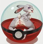 animal_ears animal_nose anthro anus barefoot blush bodily_fluids body_fur breasts butt butt_grab clitoral_hood clitoris completely_nude disney eyeshadow feet female fur genital_fluids genitals glistening glistening_body glistening_skin grabbing_own_ass grey_body grey_fur half-closed_eyes hand_on_butt happy kneeling looking_at_viewer looking_back makeup medium_breasts multicolored_body multicolored_fur narrowed_eyes nipples nude open_mouth pawpads pokeball presenting purple_eyes pussy pussy_juice rabbit_ears saliva scut_tail short_tail smile snout solo tail teeth tongue tongue_out two_tone_body two_tone_fur white_body white_fur tricksterfox zootopia judy_hopps lagomorph leporid mammal rabbit from_behind_(disambiguation) hi_res