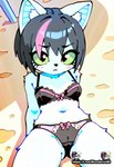 anthro beach beach_background black_hair breasts clothing female fur hair seaside simbochka sitting solo spread_legs spreading underwear white_body white_fur wonderlol90 simbochka_pimpochka mursday_(simbochka_pimpochka) domestic_cat felid feline felis mammal hi_res