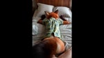 anal anal_penetration disney duo male male/male massage penetration ignobler zootopia nick_wilde canid canine fox human humanoid mammal animated huge_filesize webm