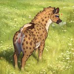 1:1 <3 anus blue_eyes brown_body brown_fur colored countershading detailed detailed_background female feral fur genitals hi_res hyaenid lungfish1223 mammal nature nature_background presenting pussy raised_tail solo spots spotted_body spotted_fur spotted_hyena tongue tongue_out white_body white_countershading