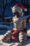 absurd_res anthro big_bulge bottomwear bulge canid canine canis christmas_clothing christmas_headwear closed_smile clothing code_0_0 cold detailed_bulge hair hair_over_eyes hat headgear headwear hi_res hyaenid male mammal night outside santa_hat shorts sitting_on_ground slim snow solo striped_hyena thick_thighs