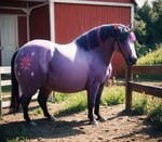 ambiguous_gender barn bridle cutie_mark feral friendship_is_magic horn mane multicolored_mane outdoors overweight photorealism prompt prompt_at_source purple_body realistic solo unicorn_horn icyibis twilight_sparkle_(mlp) equid equine horse mammal my_little_pony pony unicorn full-length_portrait hi_res portrait