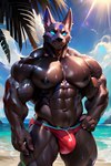 abs anthro beach big_muscles big_pecs black_body black_fur blue_sclera bodily_fluids bottomwear bulge clothing empty_eyes fur hand_on_hip inner_ear_fluff looking_at_viewer male muscular muscular_male nipples pecs red_bottomwear red_clothing seaside sky smile solo speedo standing sweat swimwear tuft exveemon_(director) nasus_(lol) anubian_jackal canid canine canis jackal mammal absurd_res hi_res