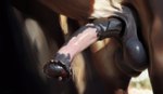 absurd_res anatomically_correct anatomically_correct_genitalia animal_genitalia animal_penis balls big_balls black_body black_fur brown_body brown_fur detailed equid equine equine_genitalia equine_penis erection feral flared_penis fur genitals glistening glistening_genitalia glistening_penis hi_res horse male mammal mottled mottled_genitalia mottled_penis outdoors outside penis penis_shot plant saggy_balls shuffur side_view signature solo