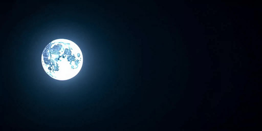 anthro bottomwear chef chef_uniform close-up clothing drugs duo feral licking male male/male marijuana music_video mythology night open_mouth park plant shorts sidewalk smoking smoking_cigar solo teeth tongue tongue_out tree walking walking_towards_viewer woods serrano canid canine canis dragon mammal mythological_creature mythological_scalie scalie werecanid werecanine werecreature werewolf wolf animated hi_res huge_filesize long_playtime music sound webm