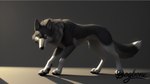 feral fur grey_body grey_fur male solo white_body white_fur yellow_eyes dogbone dakota canid canine canis mammal hi_res