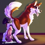 anal anal_penetration animal_genitalia animal_pussy bodily_fluids canid canine canine_genitalia canine_pussy canis cum cum_drip cum_in_ass cum_in_pussy cum_inside domestic_dog dripping eevee_k female feral fur genital_fluids genitals hi_res husky mammal nordic_sled_dog penetration pussy red_body red_fur sex_toy sex_toy_in_ass sex_toy_in_pussy sex_toy_insertion sex_toy_penetration solo spitz tongue tongue_out vaginal vaginal_penetration white_body white_fur