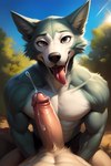 absurd_res anthro ascar big_penis bird_dog bodily_fluids canid canine canis domestic_dog drooling duo fellatio fellatio_pov first_person_view genital_fluids genitals hi_res hunting_dog jack_(beastars) labrador leaking_precum legoshi_(beastars) looking_at_viewer male male/male mammal muscular muscular_anthro muscular_male oral outdoors outside penile penis precum retriever saliva sex thick_penis tongue tongue_out wolf