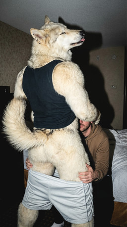 5_fingers anthro bed bedroom bottomwear butt clothed clothing clothing_lift detailed_fur duo ear_piercing eyes_closed facial_piercing fingers fluffy fur furniture head_back hoodie hotel_room male male/male neck_tuft nose_piercing obscured_eyes on_bed pants photorealism piercing pulling_pants_down raised_tail realistic realistic_fur realistic_lighting rear_view shirt shirt_lift shorts sitting sitting_on_bed standing tan_body tan_fur tank_top tongue tongue_out topwear tuft delken canid canine canis human mammal wolf absurd_res detailed hi_res