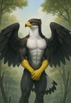 abs anthro athletic athletic_anthro athletic_male beak biceps feathers forest forest_background male muscular muscular_male nature nature_background navel nude pecs plant solo tail_feathers tree wings birdovo accipitrid accipitriform avian bird hi_res