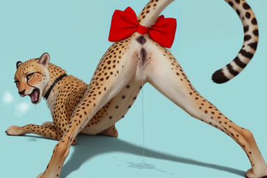 accessory anatomically_correct anatomically_correct_genitalia anatomically_correct_pussy animal_genitalia animal_pussy anus bedroom begging bodily_fluids bow_ribbon breath breath_cloud butt collar dripping drooling feline_pussy female feral furgonomic genital_fluids genitals looking_at_viewer looking_back multi_nipple nipples presenting presenting_hindquarters pussy pussy_juice pussy_juice_drip pussy_juice_puddle raised_tail ribbons saliva solo tail_accessory tail_anus tail_bow tail_ribbon yliaster cheetah felid feline mammal hi_res