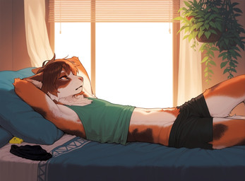 andromorph anthro beanie bed bedroom body_hair boxers_(clothing) clothing crop_top fur furniture game_console hair hands_behind_head happy_trail hat headgear headwear intersex lying mottled multicolored_body multicolored_fur multicolored_hair on_back piebald plant shirt solo topwear underwear cerinil calico_cat domestic_cat felid feline felis mammal hi_res