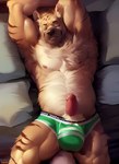 animal_genitalia anthro arms_above_head balls balls_in_underwear balls_outline bed beeryeen biceps black_nose bottomwear chest_tuft clothed clothing countershade_fur countershading fur furniture genital_outline genitals hair half-erect hi_res hyaenid loincloth lying lying_on_bed male mammal muscular muscular_male nipples on_back on_bed peeking_penis penis penis_tip pillow pubes sleeping solo striped_body striped_fur striped_hyena stripes tuft underwear underwear_only