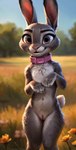 anthro backlighting cinematic_lighting collar detailed_background disney female field flower front_view genitals happy judy_hopps lagomorph leporid light lighting majorrenegade mammal nude paws pink_collar plant purple_eyes pussy rabbit seductive solo standing zootopia