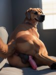 absurd_res anatomically_correct animal_genitalia animal_penis anus balls black_nose blurred_background bodily_fluids brown_eyes butt canid canine canine_genitalia canine_penis canis collar domestic_dog feral floppy_ears fur genital_fluids genitals hi_res knot leaking_precum looking_at_viewer looking_back looking_back_at_viewer male mammal pawpads paws penis pink_anus precum presenting presenting_hindquarters raised_tail rear_view shuffur smile smiling_at_viewer solo tan_body tan_fur window