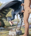 anatomically_correct animal_genitalia avian balls barefoot beak bestiality bird bodily_fluids building claws cloaca cloacal cloacal_penetration cum cum_drip cum_in_cloaca cum_in_pussy cum_inside cum_on_balls cum_on_ground cum_on_penis detailed detailed_background detailed_feathers dripping duo feathered_crest feathers feet female feral feral_penetrated from_behind_position garden genital_fluids genitals head_crest hi_res human human_on_feral human_penetrating human_penetrating_feral interspecies looking_pleasured male male/female male_on_feral mammal nude pelecaniform penetration penis penis_in_cloaca plant scuted_legs scutes sex shoebill side_view spread_wings standing standing_sex tail_grab terraraptor toe_claws tree wings
