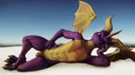 animal_genitalia animal_penis anthro balls becoming_erect claws equine_genitalia equine_penis erection genitals gold_scales horn looking_at_viewer lying_on_side male paws penis purple_body purple_eyes purple_scales scales sheath solo spyro_the_dragon wings bluepartyhatboii spyro dragon scalie animated hi_res webm