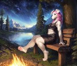 anthro campfire canid canine clothing female hair hi_res landscape mammal outside pawpads paws pink_hair seductive sitting sitting_on_bench smile solo traialas white_body