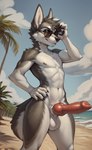 animal_genitalia animal_penis anthro balls beach black_body canid canine canine_penis canis cloud domestic_dog erection eyewear eyewear_only gauss genitals glasses glasses_only hand_on_hip hi_res husky knot looking_at_viewer male mammal multicolored_body navel nipples nordic_sled_dog nude outdoor_nudity outdoors outside palm_tree penis plant sand sea seaside smile solo spitz standing sunglasses tree two_tone_body water white_body