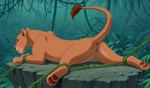 animal_genitalia animal_penis animal_pussy anus arms_tied backsack balls bdsm bodily_fluids bondage bound butt cuddling cum cum_in_pussy cum_inside doggystyle duo feline_penis female feral flirting from_behind_position front_view fur genital_fluids genitals humping jungle leaking_cum legs_tied looking_pleasured lying male male/female mane mounting multiple_angles on_front open_mouth orgasm orgasm_face pawpads paws penetration penis pussy rear_focus rear_view sex spread_legs spreading tail_motion vaginal vaginal_penetration vines ocillet the_lion_king nala_(the_lion_king) simba_(the_lion_king) felid lion mammal pantherine animated hi_res huge_filesize webm