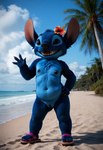 beach black_eyes blue_body blue_fur clothing crossgender detailed_fur female fluffy fluffy_fur footwear fur genitals humanoid_genitalia humanoid_pussy lilo_and_stitch mtf_crossgender nipples nude open_mouth plant pussy sand sandals sea seaside smile solo tuft water anonymous_director stitch_(lilo_and_stitch) alien experiment_(lilo_and_stitch) humanoid absurd_res detailed hi_res