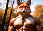 abs anthro autumn bara body_hair bottomwear bulge chest_tuft close-up clothing fluffy fluffy_tail forest glowing glowing_eyes happy_trail loincloth male muscular muscular_anthro muscular_male muscular_thighs pecs plant realistic realistic_fur realistic_lighting silk solo tree tuft walking kludgecopter_(director) canid canine fox mammal animated hi_res webm