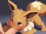 ambiguous_gender anonymous_director bestiality brown_body brown_fur duo eevee feral feral_focus fur generation_1_pokemon hi_res human human_on_feral interspecies male male/ambiguous male_on_feral mammal oral pokemon_(species)