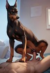 animal_genitalia animal_pussy canine_genitalia duo female feral genitals male male/female penetration pussy sex director_donki canid canine canis dobermann domestic_dog mammal pinscher hi_res