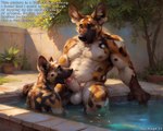 african_wild_dog anthro balls blue_eyes bodily_fluids canid canine drooling duo erection genital_fluids genitals humanoid_genitalia humanoid_penis kaleb licking male male/male mammal muscular muscular_male nude oral penile penis penis_lick pool precum ruva saliva sex text tongue tongue_out wetfur_(director)