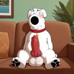 animal_genitalia animal_penis anthro balls big_balls big_penis black_nose black_pawpads blush bodily_fluids canine_genitalia canine_penis collar fur furniture genitals inside knot male on_sofa pawpads penis red_collar sitting sitting_on_sofa sofa solo sweat white_body white_fur gertgrg brian_griffin bird_dog canid canine canis domestic_dog hunting_dog labrador mammal retriever hi_res