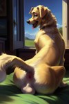 absurd_res anus balls bed bedroom bedroom_eyes bird_dog breath canid canine canis collar domestic_dog feral furniture genitals golden_retriever grass hi_res hunting_dog looking_at_viewer looking_back looking_back_at_viewer male mammal narrowed_eyes panting plant raised_tail rear_view retriever seductive smauggers solo