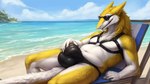 anthro beach bulge chair clothed clothing detailed_bulge eyewear furniture harness jockstrap male navel relaxing sea seaside sergal skimpy slightly_chubby smile solo sunglasses underwear water yellow_eyes