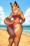 anthro beach bikini brown_body brown_fur clothing crotchless_clothing female fur genitals presenting pussy raised_tail red_bikini sand sea seaside solo swimwear water lungfish1223 canid canine canis domestic_dog mammal colored detailed hi_res