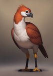 absurd_res ambiguous_gender avian avian_feet beak bird black_beak feathers feral front_view gradient_background hi_res looking_at_viewer red_body red_eyes red_feathers shuffur simple_background smile solo standing tuft white_body white_feathers wings