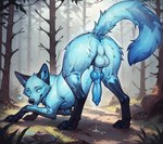 <3 anatomically_correct anatomically_correct_genitalia animal_genitalia animal_penis anus ass_up balls bedroom_eyes blue_anus blue_body blue_eyes blue_fur blue_penis bodily_fluids butt canine_genitalia canine_penis detailed_background detailed_fur feral forest fur genital_fluids genitals glowing glowing_body glowing_eyes grass knot looking_at_viewer looking_back looking_back_at_viewer male narrowed_eyes paws penis plant pony_diffusion_(model) precum presenting presenting_hindquarters rear_view rock seductive solo tongue tongue_out translucent translucent_body tree director_firewolf canid canine fox mammal spirit detailed