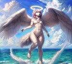 anthro breasts canid canine featureless_breasts featureless_crotch female fur hair halo hi_res mammal nude outside sea sky smile solo standing traialas water white_body wings