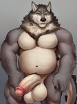 anthro balls bedroom_eyes belly belly_scales big_balls big_penis canid canine canis crocodile crocodilian crocodylid fur genitals grey_body grey_fur himbo hybrid long_tail lysander_(director) male mammal mane musclegut muscular muscular_male narrowed_eyes neck_tuft pecs penis reptile scales scalie seductive smile solo tuft wolf