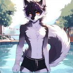 anthro canid canine carl clothed clothing day looking_at_viewer male mammal outside pool seductive smile standing underwear underwear_only