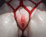 anthro bdsm bodily_fluids bondage bound clitoris close-up female fur genital_fluids genitals pussy pussy_juice restraints rope rope_bondage rope_harness solo solo_focus wet white_body white_fur magacitl canid canine fox mammal