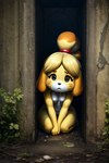 alley anthro breasts exposed_breasts female nude nude_anthro nude_female public public_exposure public_nudity scared small_breasts solo pictofurry isabelle_(animal_crossing) canid canine canis domestic_dog mammal shih_tzu toy_dog